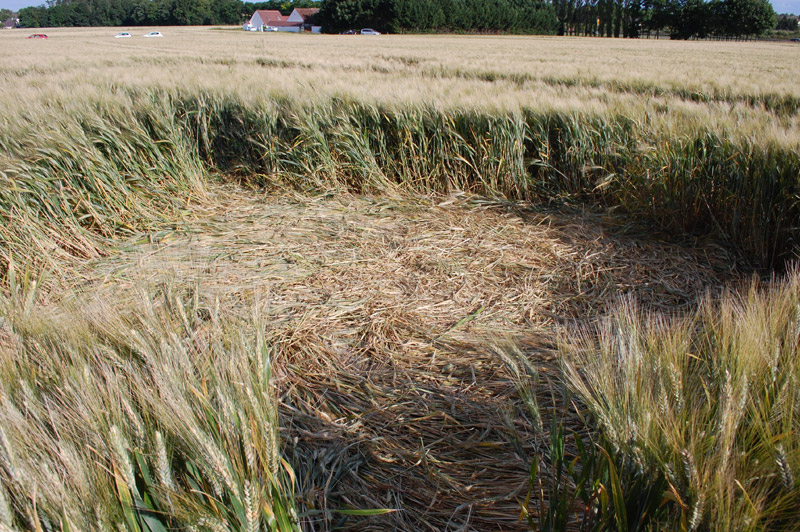 Plat-d'Étain, Boigny, France crop circle, aerial photo 11