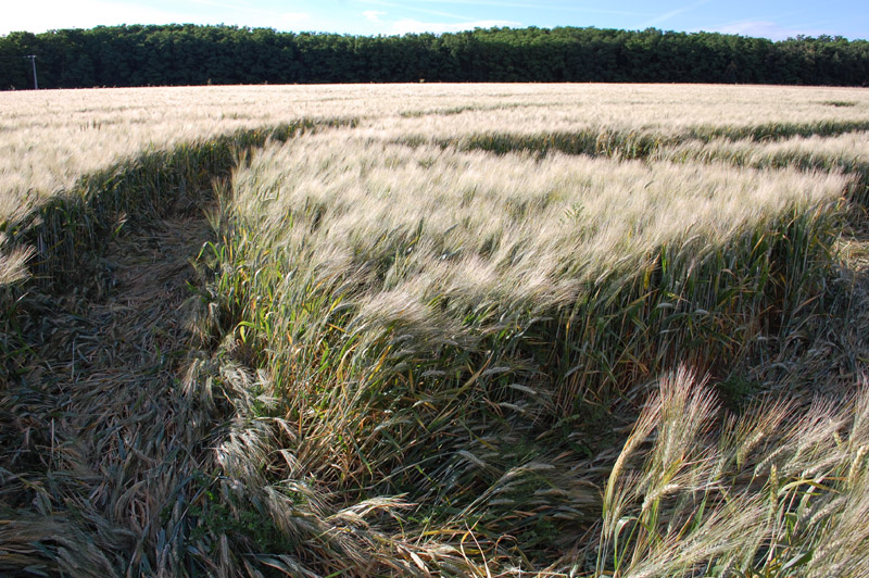 Plat-d'Étain, Boigny, France crop circle, aerial photo 12