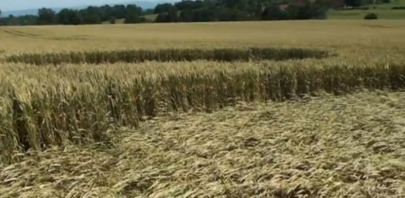 Biches, Burgundy, France crop circle, aerial photo 2