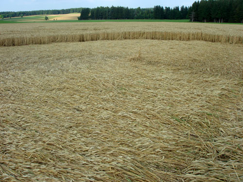 Andechs Abbey, Bavaria, Germany crop circle, ground photo 43