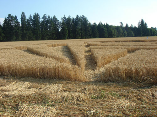 Andechs Abbey, Bavaria, Germany crop circle, ground photo 44