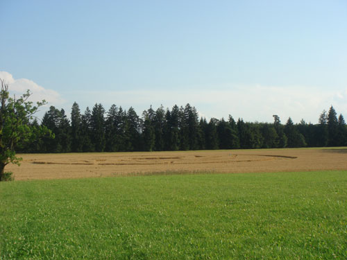 Andechs Abbey, Bavaria, Germany crop circle, ground photo 40