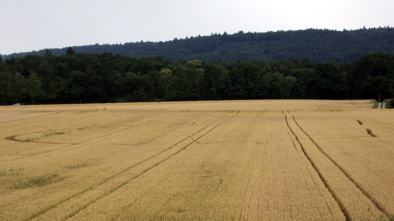 Büsingen (German Enclave), Switzerland crop circle, aerial photo 5