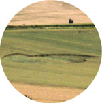 Andechs Abbey, Bavaria, Germany crop circle, aerial photo 49