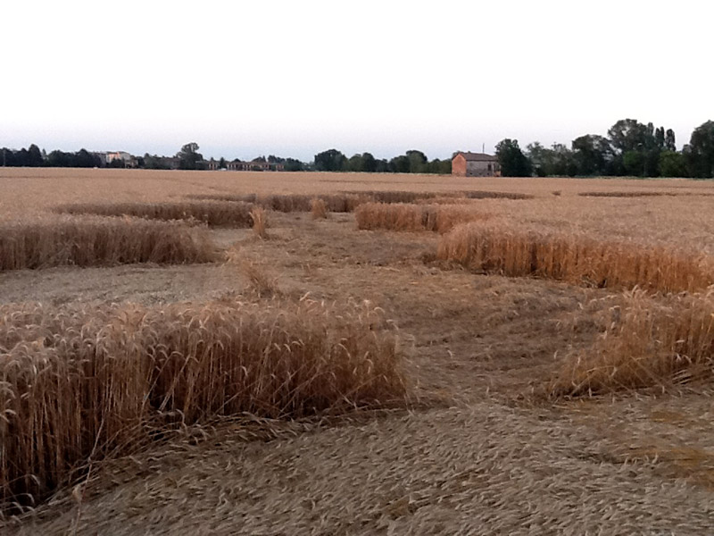 Santena, Italy crop circle, aerial photo 6