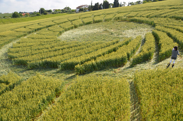 Bracciano, Bertinoro. (FC), Italy crop circle, aerial photo 4