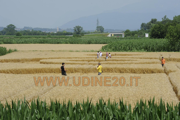 Salt Povoletto (Udine), Italy crop circle, aerial photo 2