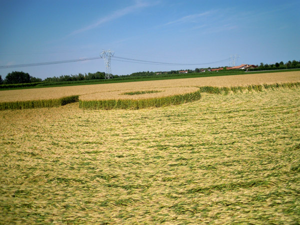 Camponogara (Venezia), Italy crop circle, aerial photo 3
