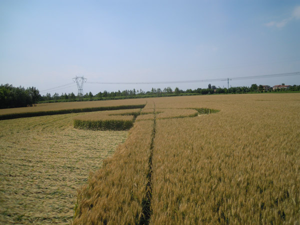 Camponogara (Venezia), Italy crop circle, aerial photo 4