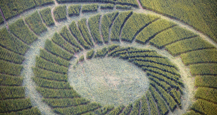 Bracciano, Bertinoro. (FC), Italy crop circle, aerial photo 2