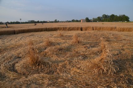Fabbrico (RE), Italy crop circle, aerial photo 21