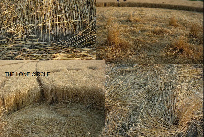Fabbrico (RE), Italy crop circle, aerial photo 46