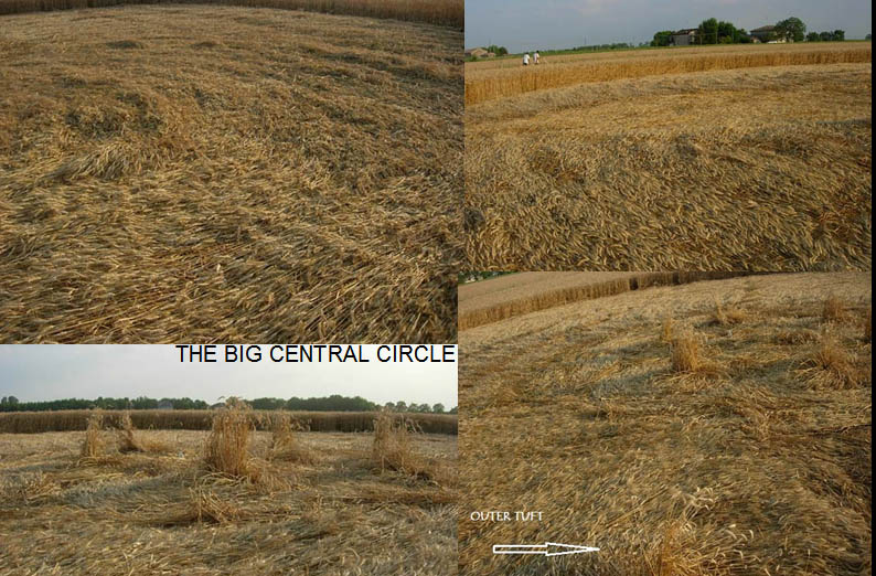 Fabbrico (RE), Italy crop circle, aerial photo 45