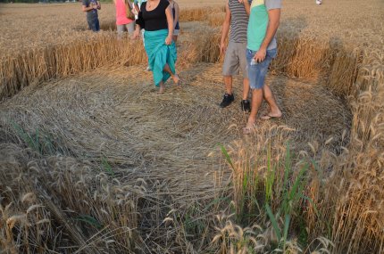 Fabbrico (RE), Italy crop circle, aerial photo 30
