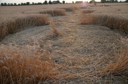 Fabbrico (RE), Italy crop circle, aerial photo 31