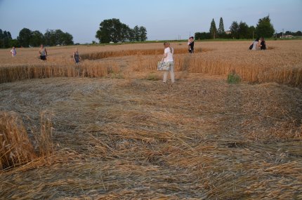 Fabbrico (RE), Italy crop circle, aerial photo 33