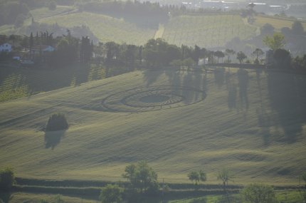 Bracciano, Bertinoro. (FC), Italy crop circle, aerial photo 23