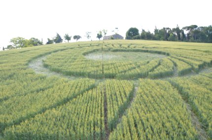 Bracciano, Bertinoro. (FC), Italy crop circle, aerial photo 39