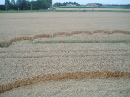 Fabbrico (RE), Italy crop circle, aerial photo 38
