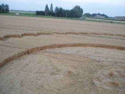 Fabbrico (RE), Italy crop circle, aerial photo 39