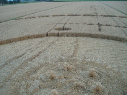Fabbrico (RE), Italy crop circle, aerial photo 19