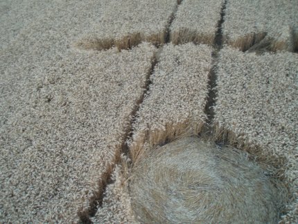 Fabbrico (RE), Italy crop circle, aerial photo 24