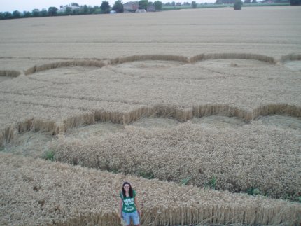Fabbrico (RE), Italy crop circle, aerial photo 27