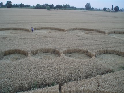 Fabbrico (RE), Italy crop circle, aerial photo 40