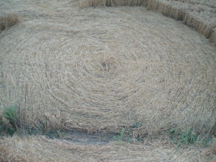 Fabbrico (RE), Italy crop circle, aerial photo 28