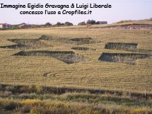 Riesi, Sicilia, Italy crop circle, aerial photo 7
