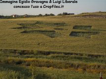 Riesi, Sicilia, Italy crop circle, aerial photo 9
