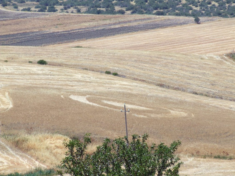 Villa Rosa, Italy crop circle, aerial photo 5