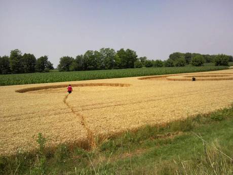Salt Povoletto (Udine), Italy crop circle, aerial photo 4