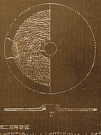 Camponogara (Venezia), Italy crop circle, aerial photo 25