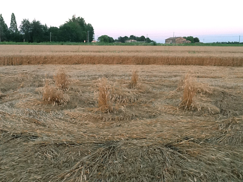 Fabbrico (RE), Italy crop circle, aerial photo 8