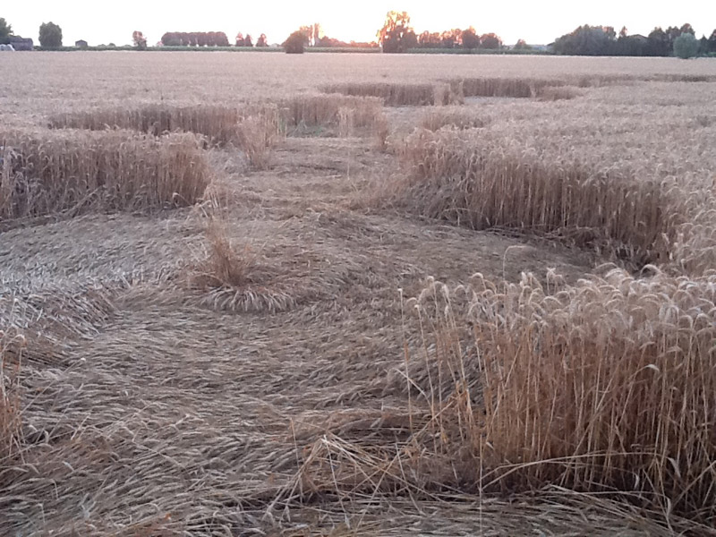 Fabbrico (RE), Italy crop circle, aerial photo 12