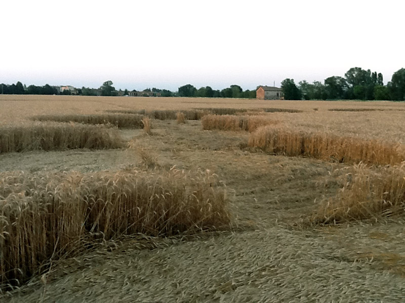 Fabbrico (RE), Italy crop circle, aerial photo 5