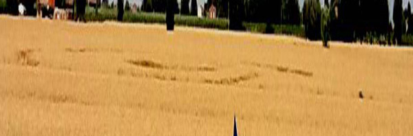 Fabbrico (RE), Italy crop circle, aerial photo 60