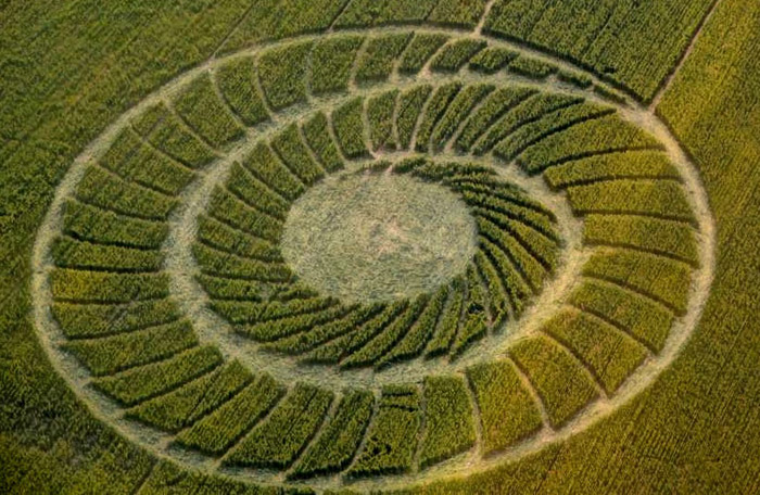 Bracciano, Bertinoro. (FC), Italy crop circle from the air