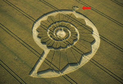 Bracciano, Bertinoro. (FC), Italy crop circle, aerial photo 92