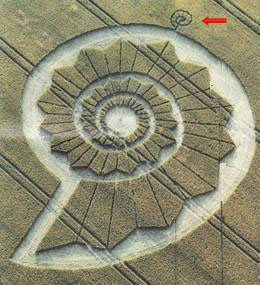 Bracciano, Bertinoro. (FC), Italy crop circle, aerial photo 91