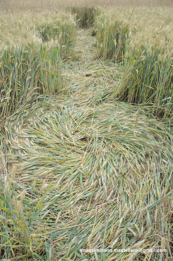 Santena, Italy crop circle, aerial photo 27