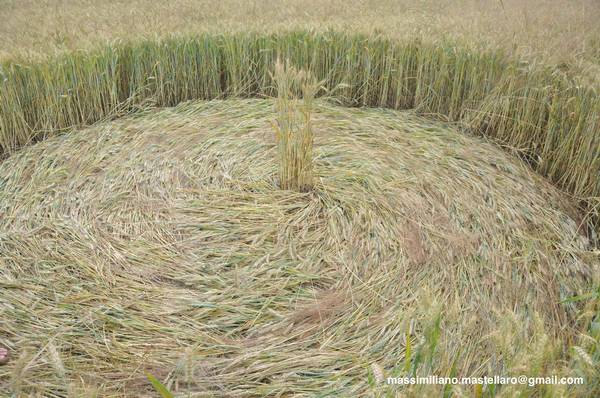 Santena, Italy crop circle, aerial photo 23