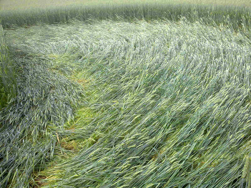 Tuftevegen, Norway crop circle, aerial photo 5
