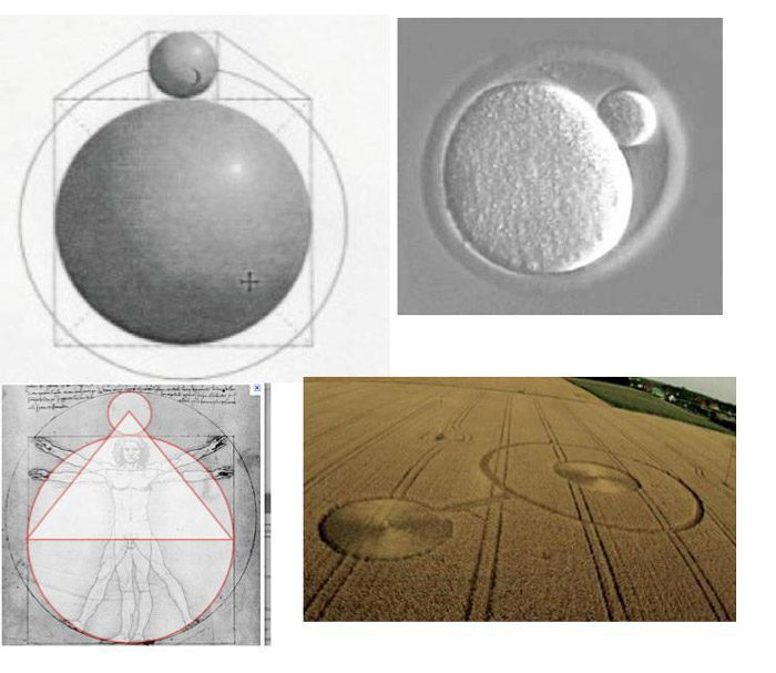 Białystok, Poland crop circle, aerial photo 3