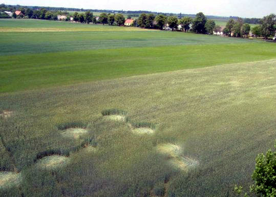 Orchowo, nr. Wylatowo, Poland crop circle, aerial photo 2