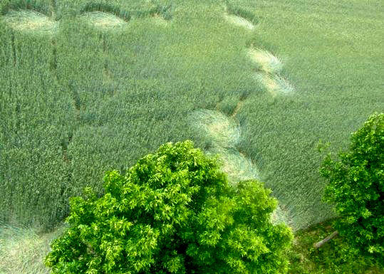 Orchowo, nr. Wylatowo, Poland crop circle, aerial photo 4