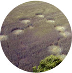 Orchowo, nr. Wylatowo, Poland crop circle, aerial photo 5
