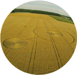 Orchowo, nr. Wylatowo, Poland crop circle, aerial photo 6