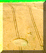 12.gif (37499 bytes)